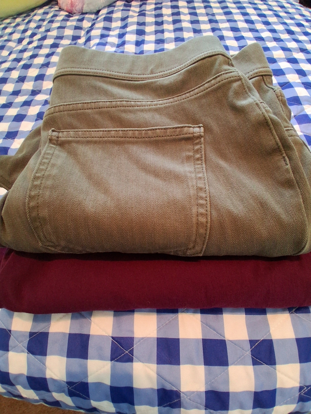 Time and Tru Burgundy & Olive Pants